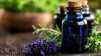 Aromatic lavender flowers and dark blue glass bottle with essential oil on rustic wooden background surrounded by fresh herbs and greenery.