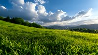 Vibrant green grass field under dramatic cloudy sky with mountain landscape background, natural outdoor scenery for environmental concepts.