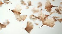 Delicate ginkgo leaves in soft beige tones floating against light background create ethereal botanical composition. Gentle motion and dreamy atmosphere for wellness designs.