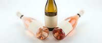 Rose wine bottles collection with elegant glasses on white background perfect for wine tasting events and beverage marketing materials.