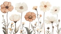 Delicate watercolor floral composition with white and terracotta cosmos flowers, stems and buds on white background, elegant botanical art in neutral tones.