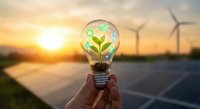 Hand holding light bulb with green plant inside over solar panels and wind turbines at sunset representing renewable energy innovation and sustainability.