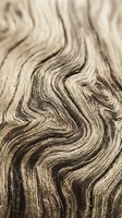 Fluid swirling wood grain texture with organic wavy patterns in natural beige and brown tones, suitable for backgrounds and design projects.