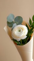 White ranunculus flower wrapped in craft paper with eucalyptus leaves against neutral background. Minimalist floral composition for wedding or romantic design.
