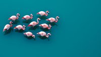 Pink flamingos flock together casting shadows on turquoise water surface, creating minimalist composition with geometric pattern. Perfect for nature and wildlife designs.