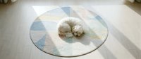 Fluffy white dog resting on round geometric patterned rug with pastel blue and green diamond shapes in bright sunlit room.