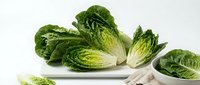 Fresh green bok choy vegetables arranged on white plate with wooden cutting board, healthy Asian cuisine ingredients for cooking and meal preparation.