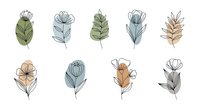 Hand-drawn botanical leaf and flower line art collection with watercolor wash, isolated on white background, suitable for design projects, stationery, textiles, and digital applications.