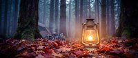 Vintage lantern glowing warmly among autumn leaves in misty forest setting, creating atmospheric outdoor camping scene with fallen foliage and tall trees.