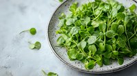 Fresh watercress leaves on gray ceramic plate against light background, raw green organic microgreens for healthy eating and garnishing culinary dishes.