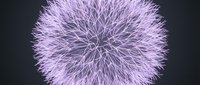 Glowing purple spherical network of interconnected lines on dark background, resembling a dandelion or neural structure in violet light.
