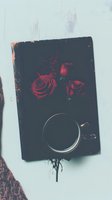 Moody still life with dark coffee cup and deep red roses on black surface against light background, creating dramatic contrast and romantic atmosphere.