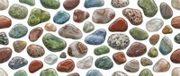 Polished gemstones and minerals in various colors and sizes arranged on white background, suitable for geology education, jewelry design, and natural stone product marketing.