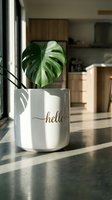Monstera plant in a white ceramic pot with gold hello lettering on a sunlit kitchen counter in a modern home interior.