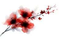 Red watercolor cherry blossom branch with delicate flowers and buds on white background for spring designs and oriental art projects.
