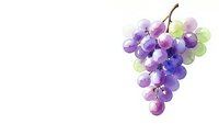 Watercolor grape cluster in purple and green tones isolated on white background for wine industry designs and culinary projects.