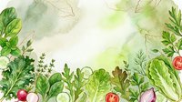 Young woman with fair complexion and long brown hair, wearing casual white clothing, holding fresh organic vegetables including tomatoes, lettuce, cucumbers and radishes in her hands against white background.