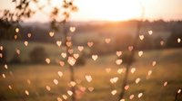 Romantic heart-shaped bokeh lights overlay sunset landscape background for wedding invitations, Valentine's Day cards and love-themed designs.