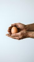 Hands of an adult male with dark skin tone holding a brown egg against white background, suitable for agriculture, nutrition, and food industry concepts.