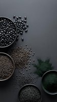 Assorted legumes and superfoods in bowls on dark background including black beans, lentils and spirulina powder for healthy cooking and nutrition.