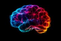 Glowing multicolored brain silhouette with neon light effect on black background, representing neural networks, consciousness and artificial intelligence.