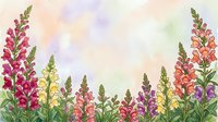 Watercolor snapdragon flowers border in pink, red, yellow, orange and purple on soft pastel background with copy space for text.