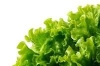 Fresh green lettuce leaves isolated on white background for healthy eating and cooking recipes.