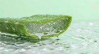Fresh aloe vera leaf with clear gel droplets on wet surface for natural skincare and wellness applications.