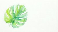 Watercolor monstera leaf with natural green tones on white background. Botanical illustration for tropical decor, nature art and organic design projects.