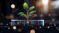 Young green sprout growing in glass container with water drops and bokeh lights creating magical atmosphere, concept of growth and innovation in science.