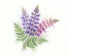 Watercolor lupine flowers with delicate fern leaves in purple and pink hues on white background, botanical illustration for spring garden designs.