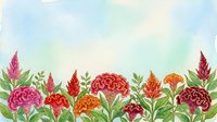 Watercolor celosia flowers border with vibrant pink, red, orange blooms and green leaves on soft blue sky background for cards.