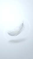 Single white feather floating gracefully against clean light background with soft shadow, symbolizing lightness, freedom and purity for spiritual concepts.