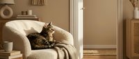 Adorable tabby cat relaxing on cozy beige armchair in warm sunlit living room with neutral decor and soft natural lighting for pet lifestyle content.