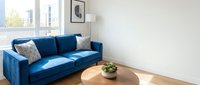 Modern living room with blue velvet sofa, wooden coffee table, potted plant, and natural light from window for interior design and home decor projects.