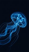 Glowing blue jellyfish with flowing tentacles against dark background, marine life concept for digital art and science education projects.