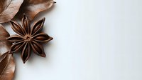 Star anise and dried autumn leaves on white background, natural spice ingredient in warm brown tones, minimalist food photography composition with copy space.