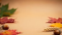 Autumn leaves, acorns and wheat ears arranged on warm beige background creating seasonal fall frame with copy space for thanksgiving designs.