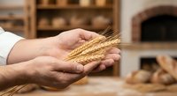 Baker hands holding golden wheat ears in traditional bakery with wood-fired oven and fresh bread loaves in warm rustic kitchen setting for artisan baking.