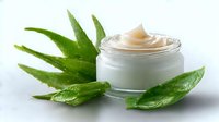 Luxurious moisturizing cream jar with fresh aloe vera leaves on white background, natural organic skincare and beauty product photography for cosmetic industry.