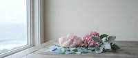 Pink roses and eucalyptus bouquet with blue ribbon on rustic wooden table near window in bright minimalist interior for romantic occasions.