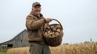 Smiling senior Caucasian farmer in cap holding wicker basket full of fresh potatoes in rural field with barn background for agricultural harvest concepts.