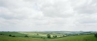 Rolling green hills and open countryside landscape with scattered trees under cloudy sky, suitable for environmental, agricultural, and nature-themed projects.
