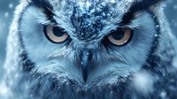 Close up portrait of snowy owl face with intense yellow eyes covered in frost and snow, dramatic winter wildlife photography in blue tones.