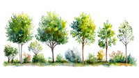Watercolor landscape with row of green trees on white background, spring forest scene with grass and bushes, nature illustration for wall art and design.