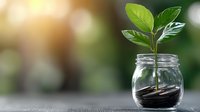 Young green plant growing from coins in glass jar against blurred natural background, symbolizing financial growth and sustainable investment.