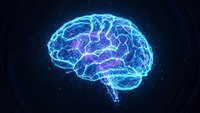 Digital brain with glowing blue neural networks on dark background for technology and artificial intelligence concepts.