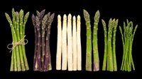 Isolated fresh asparagus bundles in green, purple, and white varieties on transparent background. Ready for clipart, print-on-demand, t-shirt design, sublimation, and kitchen-themed graphics.