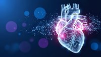 Digital heart anatomy with glowing neural network connections on blue bokeh background for medical technology and healthcare innovation concepts.