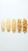 Cereal grain processing stages from flour to whole grain pieces arranged in rows on white background, showing food production and breakfast ingredients.